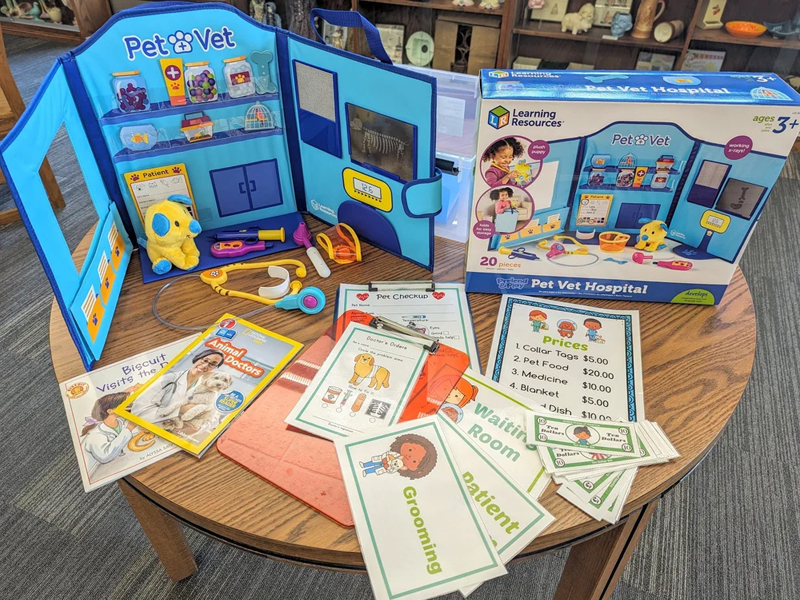 A Visit to the Veterinarian Stem Kit Contents