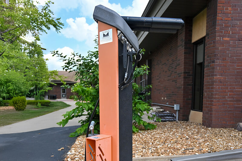 Explore the Library Grounds this Fall