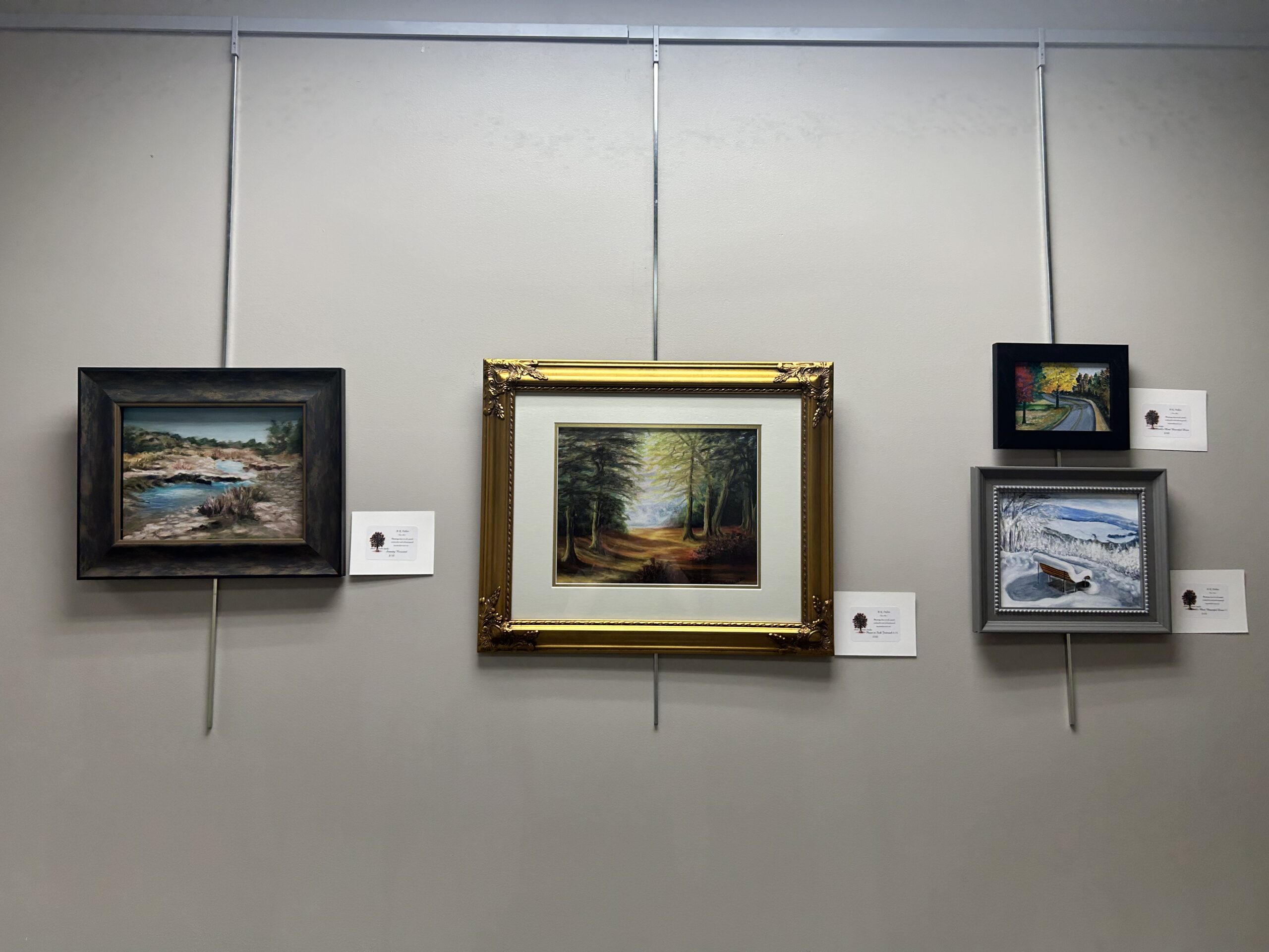 Morton Public Library Blog Photo